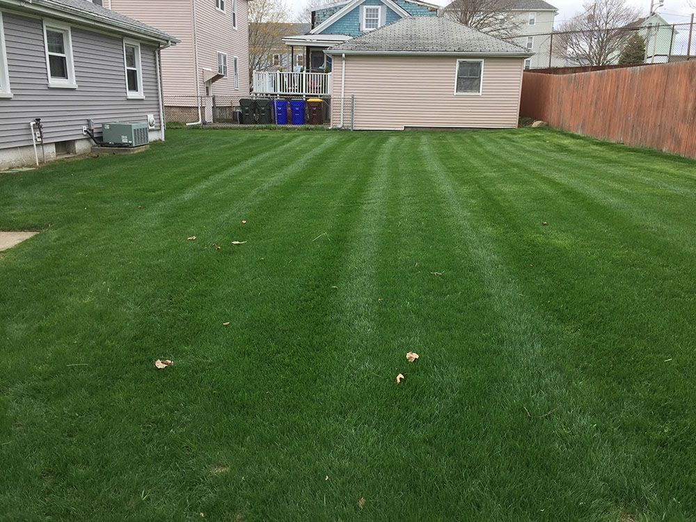 A well-maintained lawn.