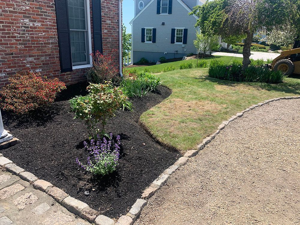A colorful flower bed enhances the beauty of a house.