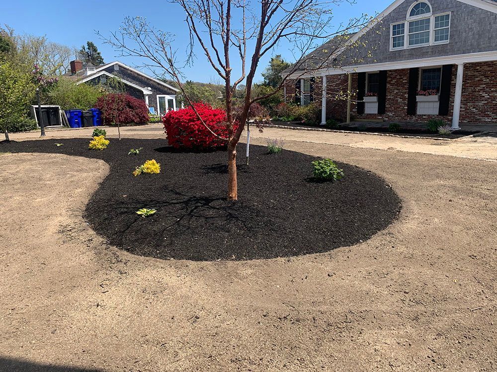 A beautifully landscaped yard with red flowers and mulch.