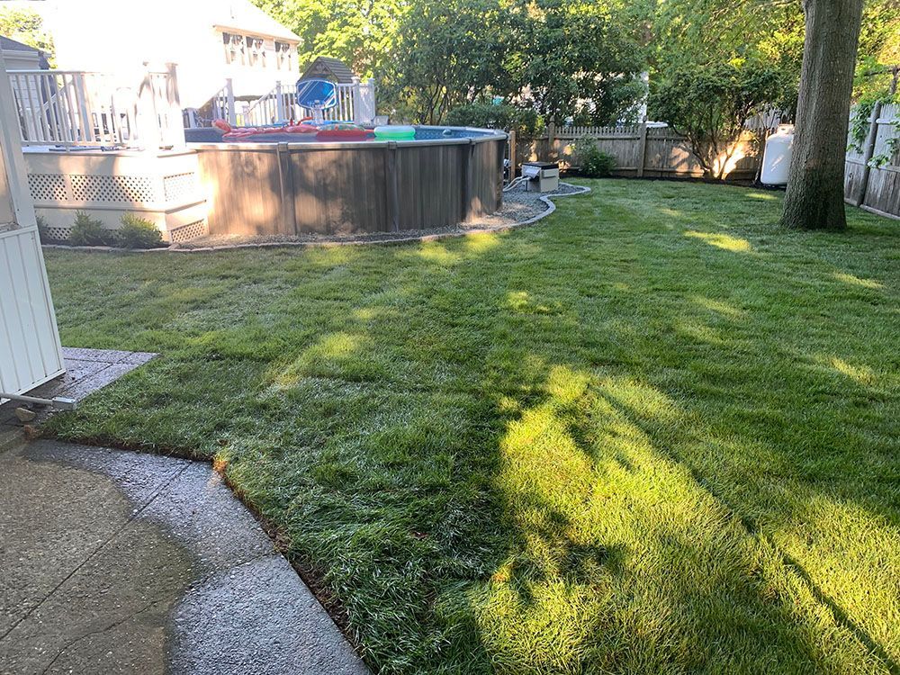 A backyard featuring a pool and a lush green lawn.