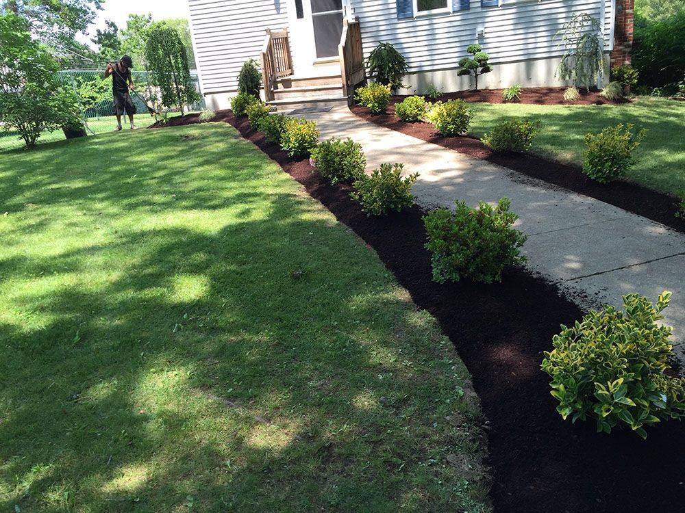 A well-maintained yard with mulch and landscaping in front of a house, enhancing its curb appeal.