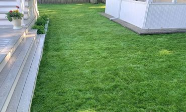 Newly installed lawn