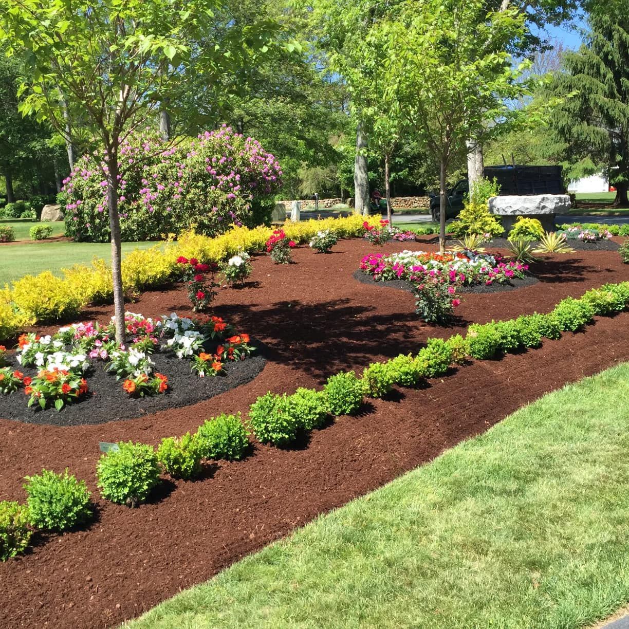 a lush green garden with lots of flowers and mulch