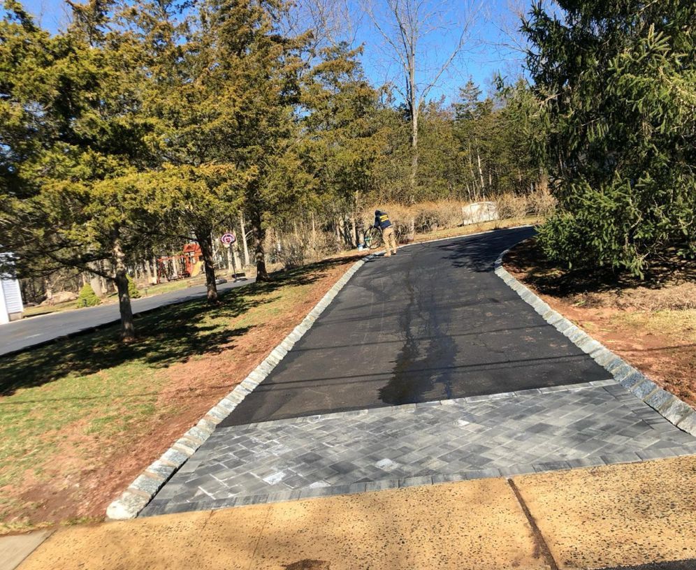Paved park path with a dark walking surface, bordered by trees and grass under a clear blue sky