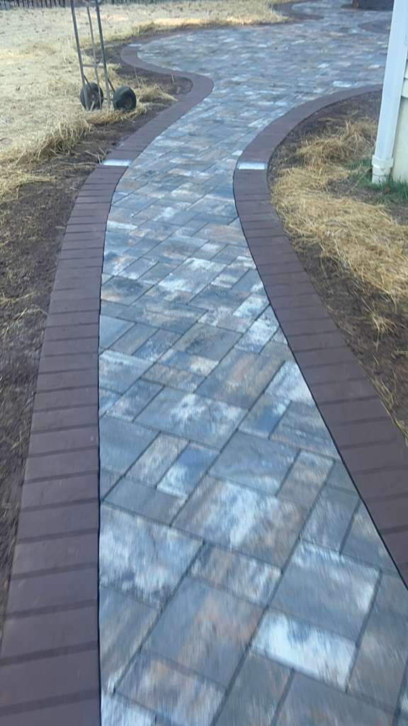 Curved gray-and-brown paved walkway through dry grass and trees