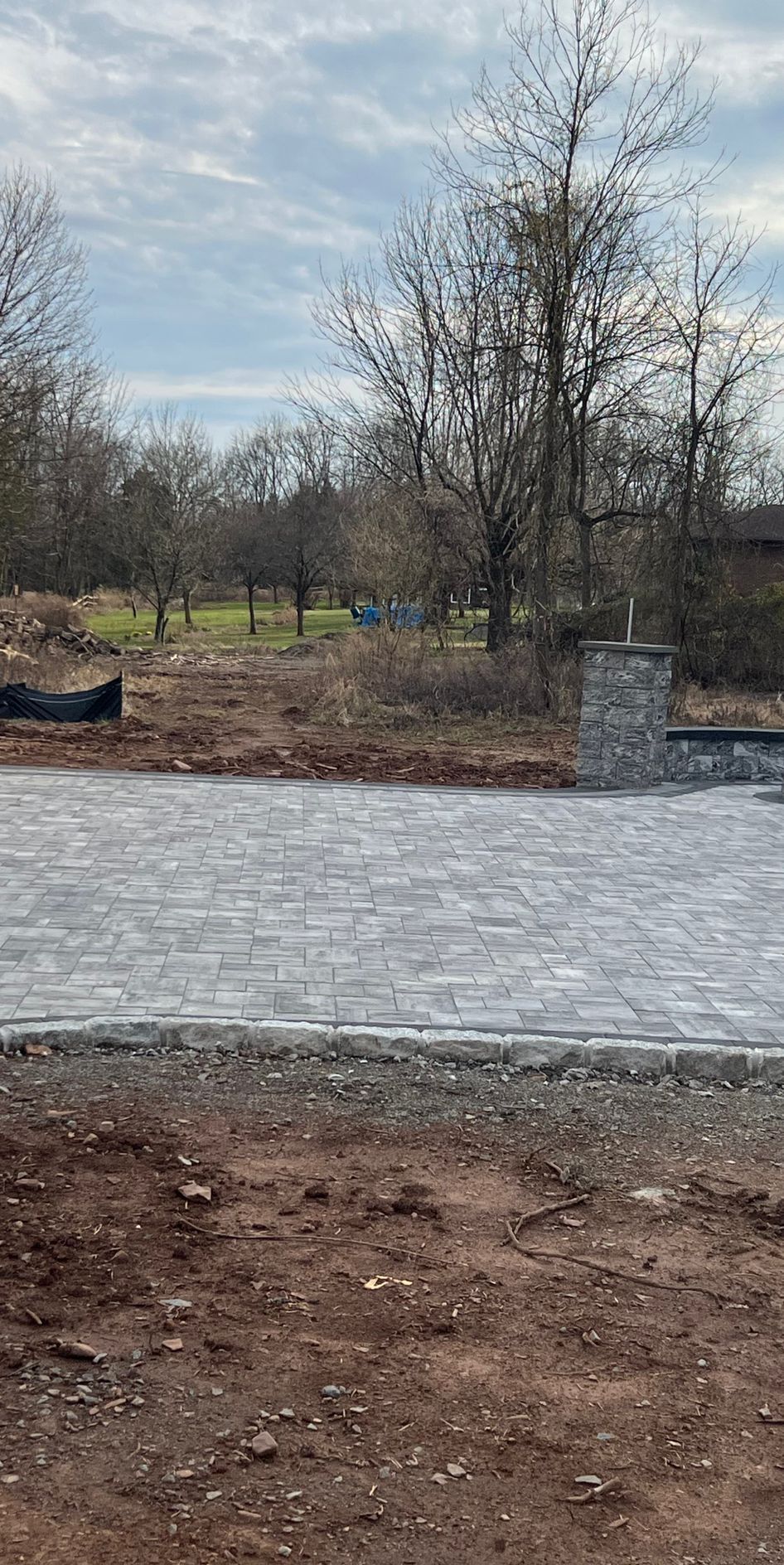 Leafless trees and a stone walkway in a bare outdoor park area under a cloudy sky
