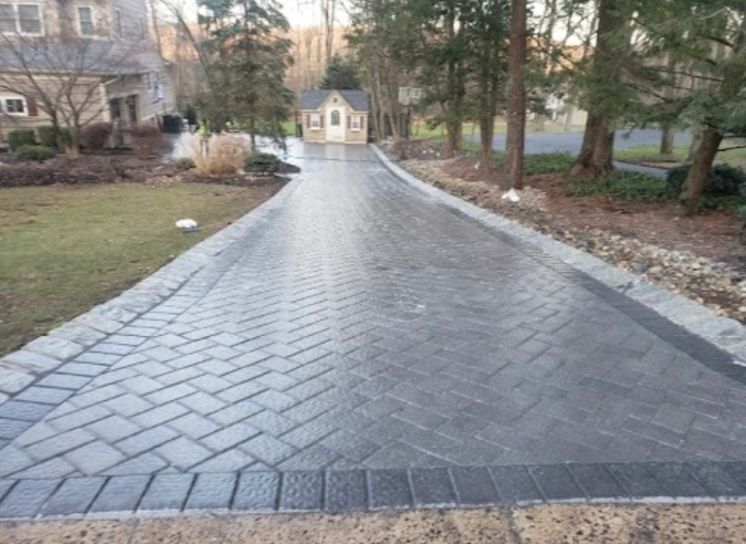 Paved driveway leading to a small shed, bordered by grass and trees in a suburban yard.