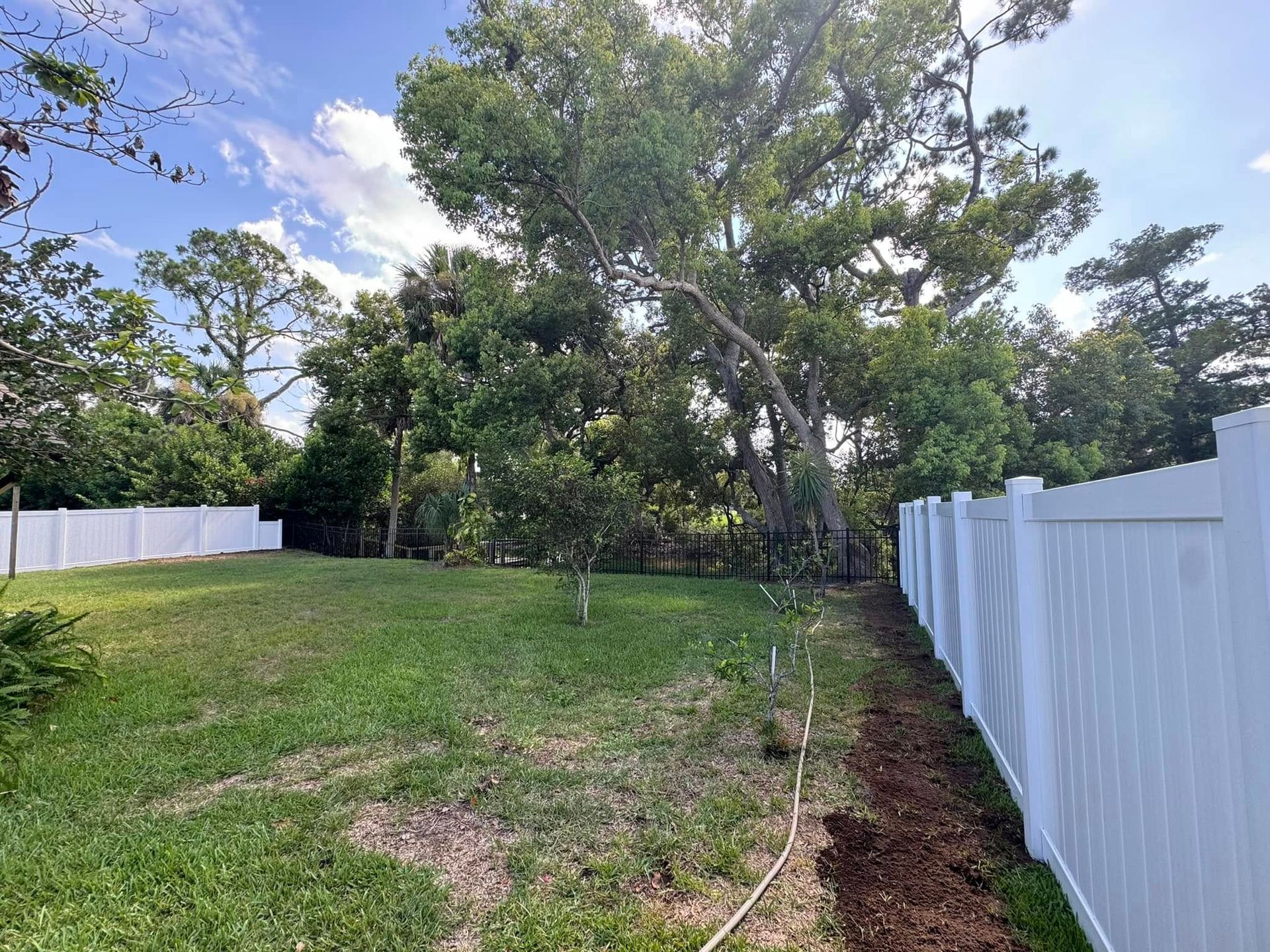 Green backyard with white fence, trees, and blue sky.