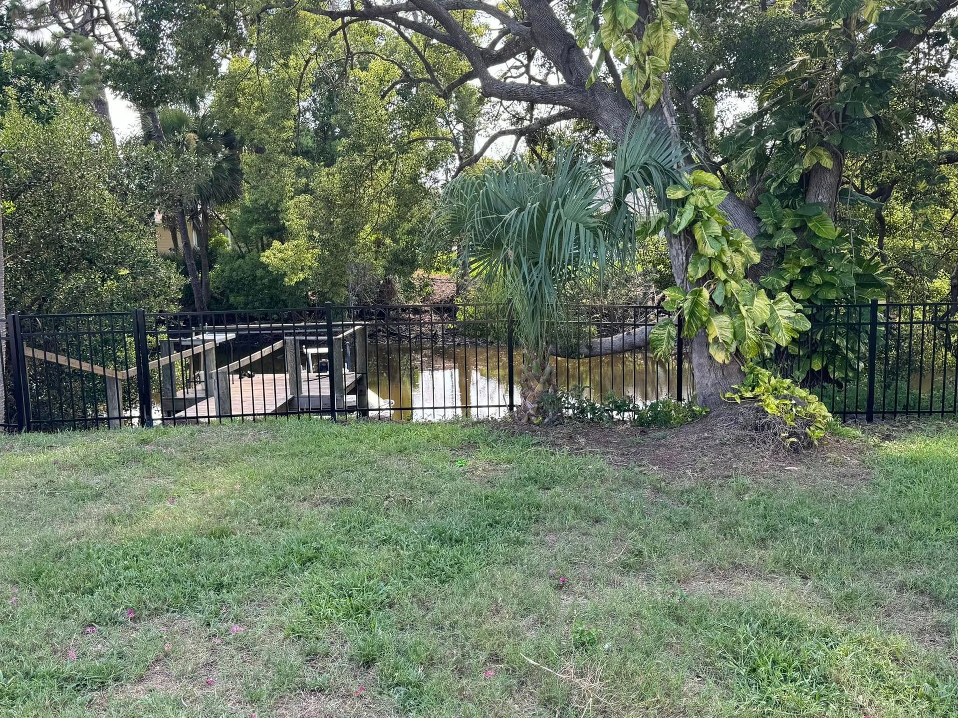 Black metal fence encloses a small body of water near a tree on a grassy area.