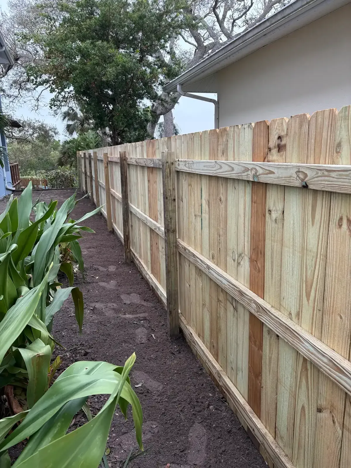 Wooden fence in a yard with plants.
