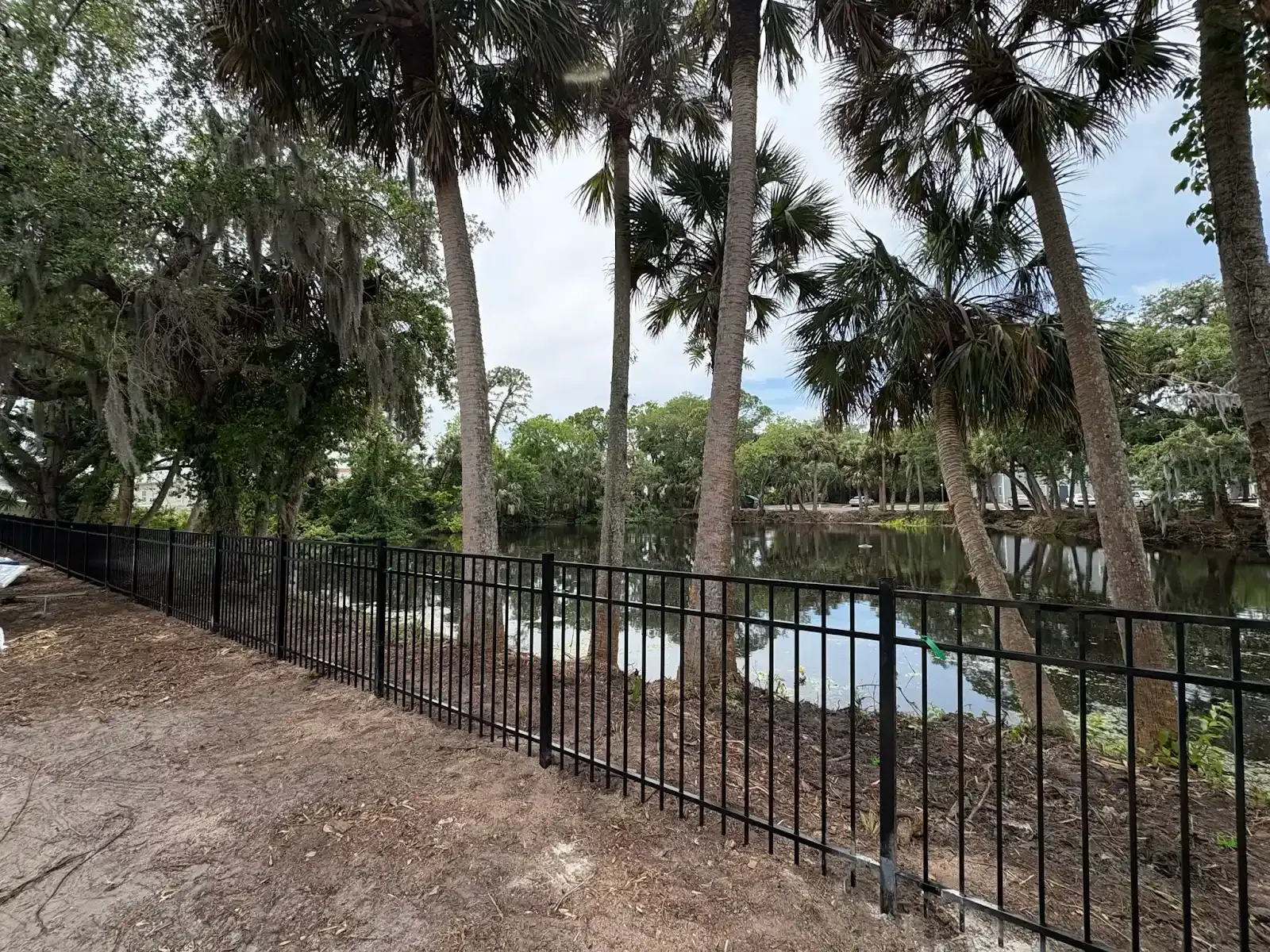 Black metal fence along water with palm trees and foliage.