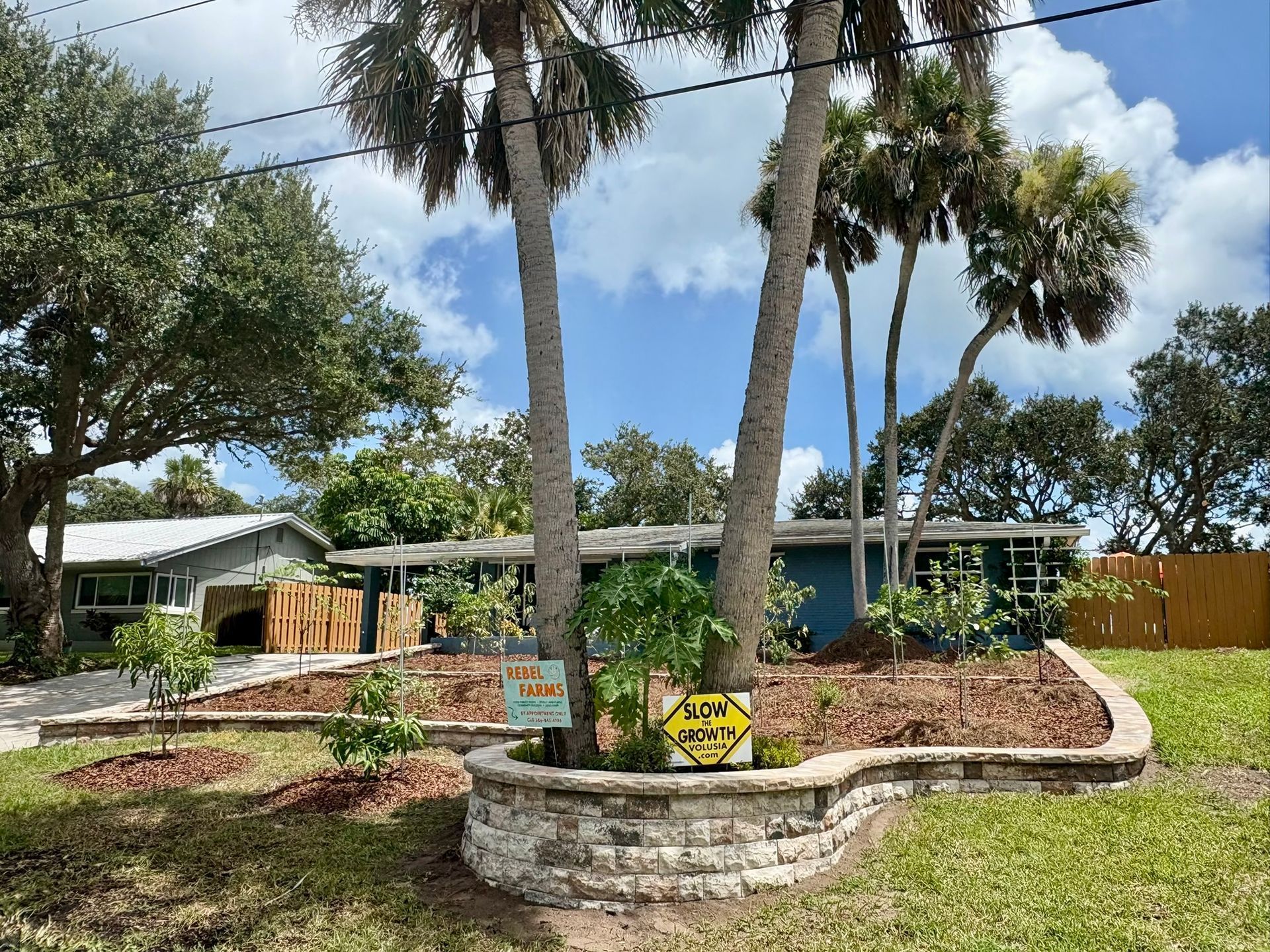 A blue house with palm trees in front, a stone planter, and a yard with a
