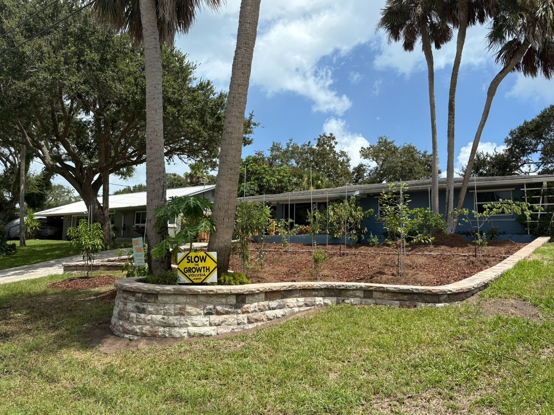 Landscape with palm trees, a stone planter wall, and a yellow sign in a sunny park-like setting