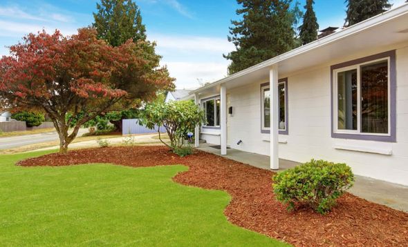 White house with a red-leaved tree in front yard, surrounded by a neatly mulched bed and green lawn under a blue sky.