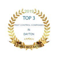 Top 3 Best Rated 2019