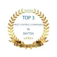Top 3 Best Rated 2020