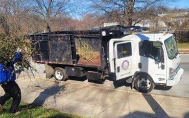 Yard debris removal Silver Spring MD All Star Waste & Recycling