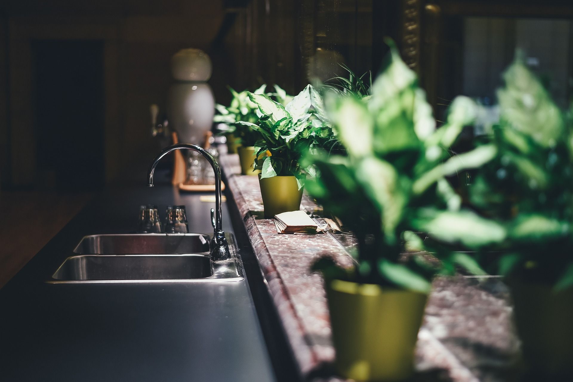 Image of a kitchen sink with plants for decoration