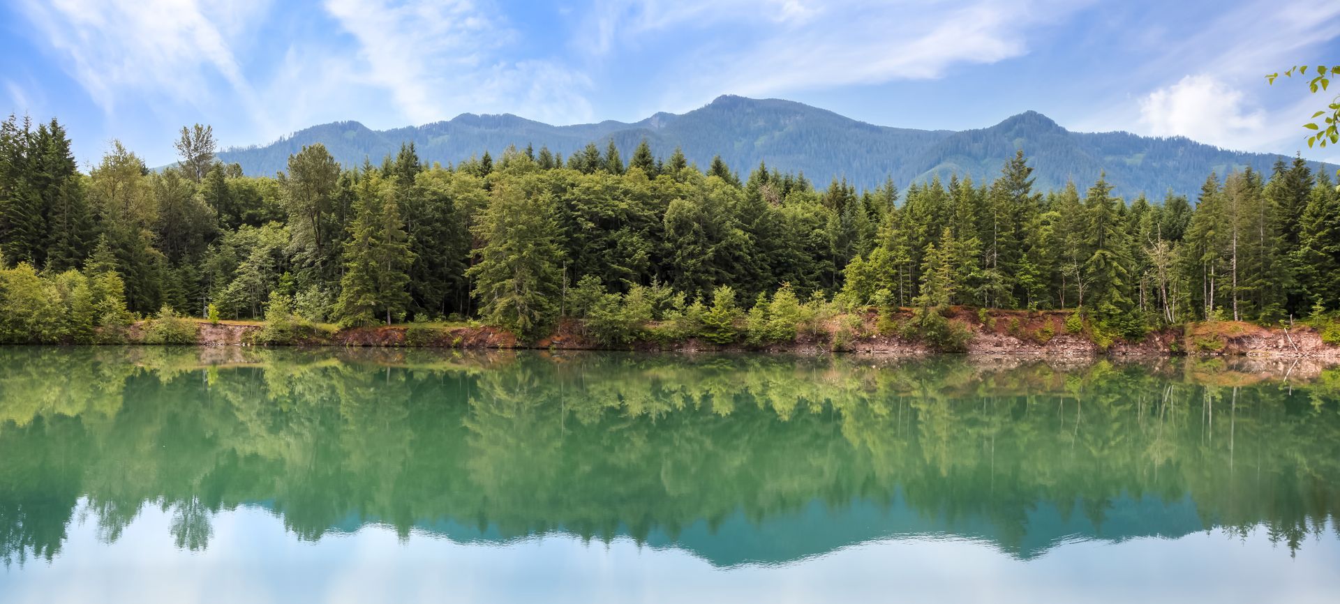 Photo of forest and lake in Washington State