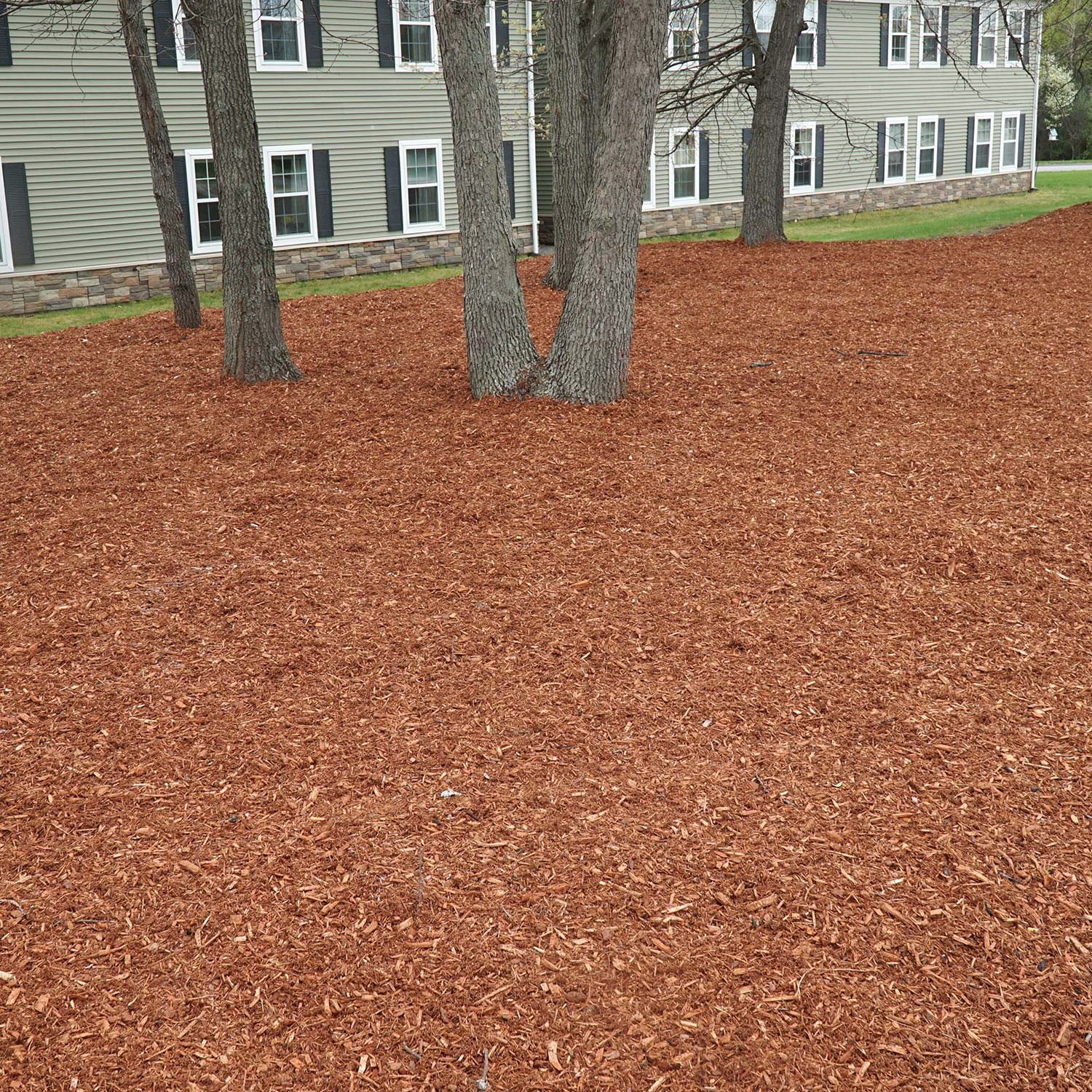 Mulch