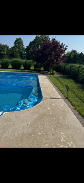 A swimming pool with blue water next to a concrete patio and a grassy area with a tree and bushes.