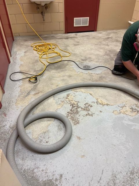 Person sanding a concrete floor with a vacuum hose, yellow extension cord, in a room with red and beige walls.