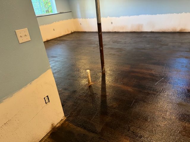 Basement with a newly stained dark floor, showing walls, pipes, and outlet.