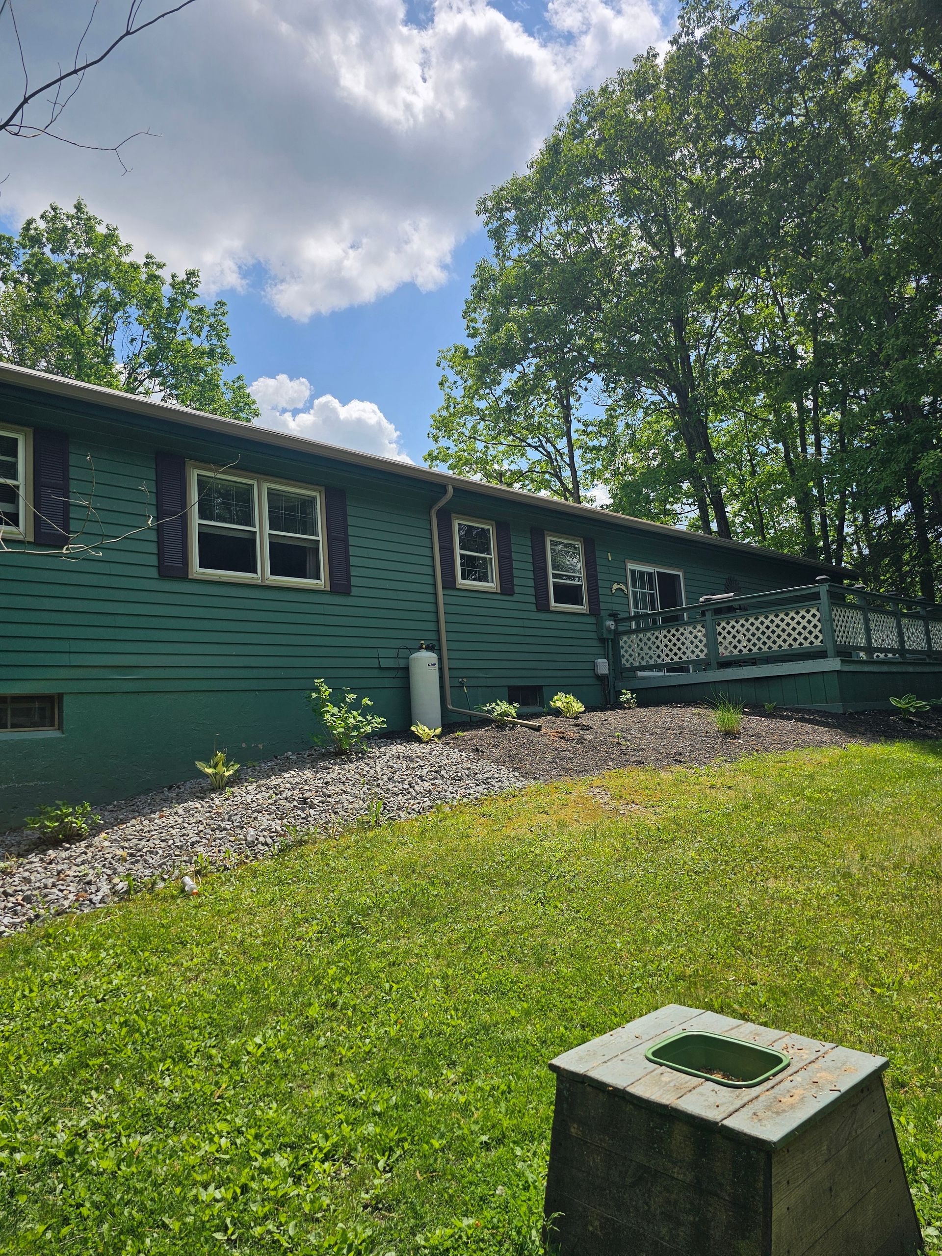 A green house with a lot of windows and trees in the background