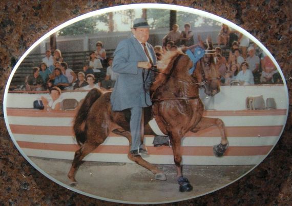 Horse and rider performing in an indoor arena before a seated audience