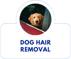 Dog hair removal