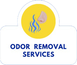 Odor removal services