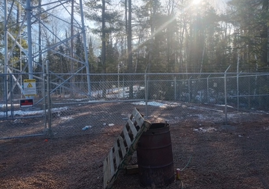 The sun is shining through the trees behind a chain link fence.