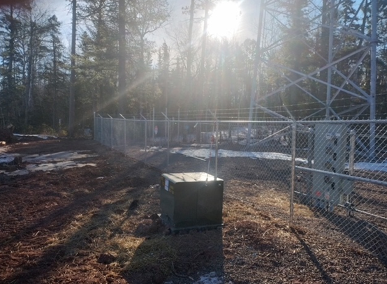 The sun is shining through the trees behind a chain link fence.