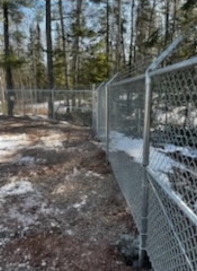 A chain link fence surrounds a dirt path in the woods.