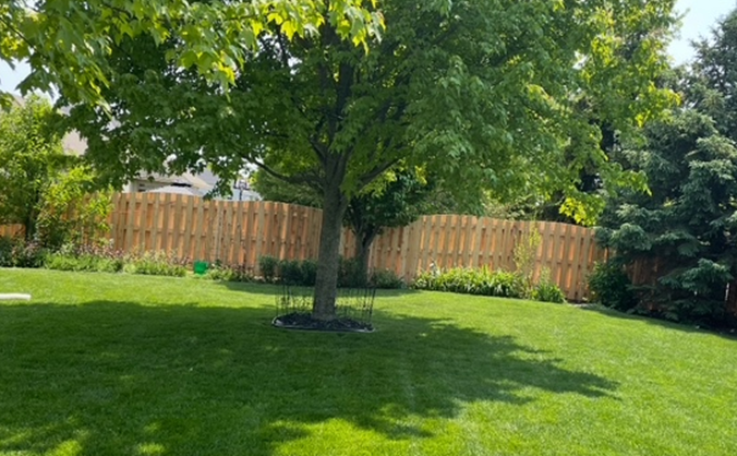 A backyard with a wooden fence and a tree in the middle of it.