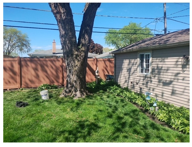 A house with a large tree in front of it