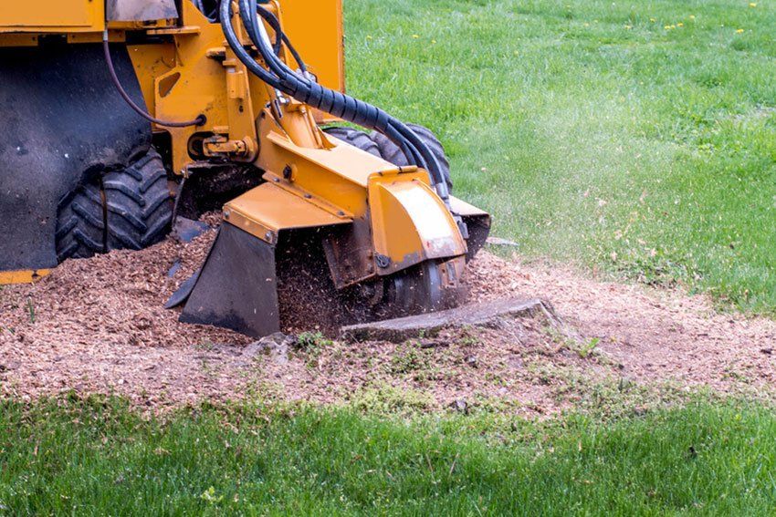 stump grinding