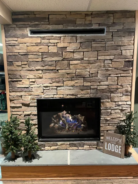 Fireplace with stone facade, lit fire, surrounded by small trees, and 