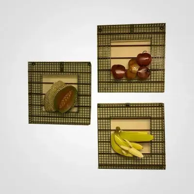 Fruit Still Life (Set of 3)