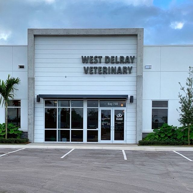 West Delray Veterinary