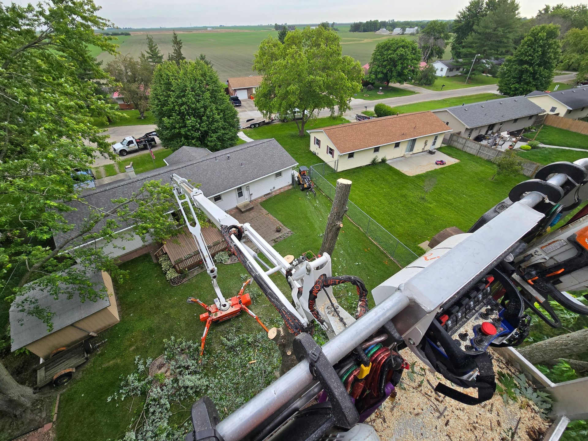 An aerial view of a tree being cut down in a backyard.