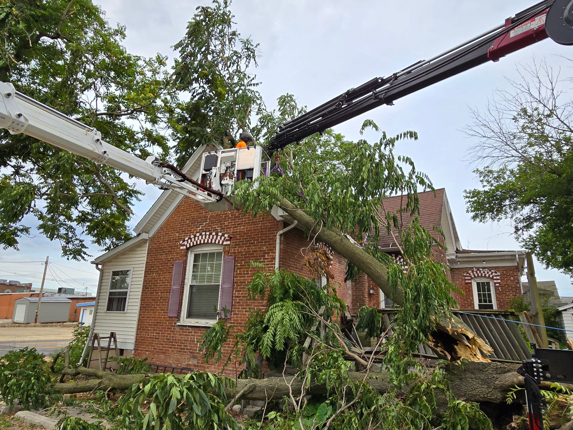 A crane is being used to remove a tree from a brick house.