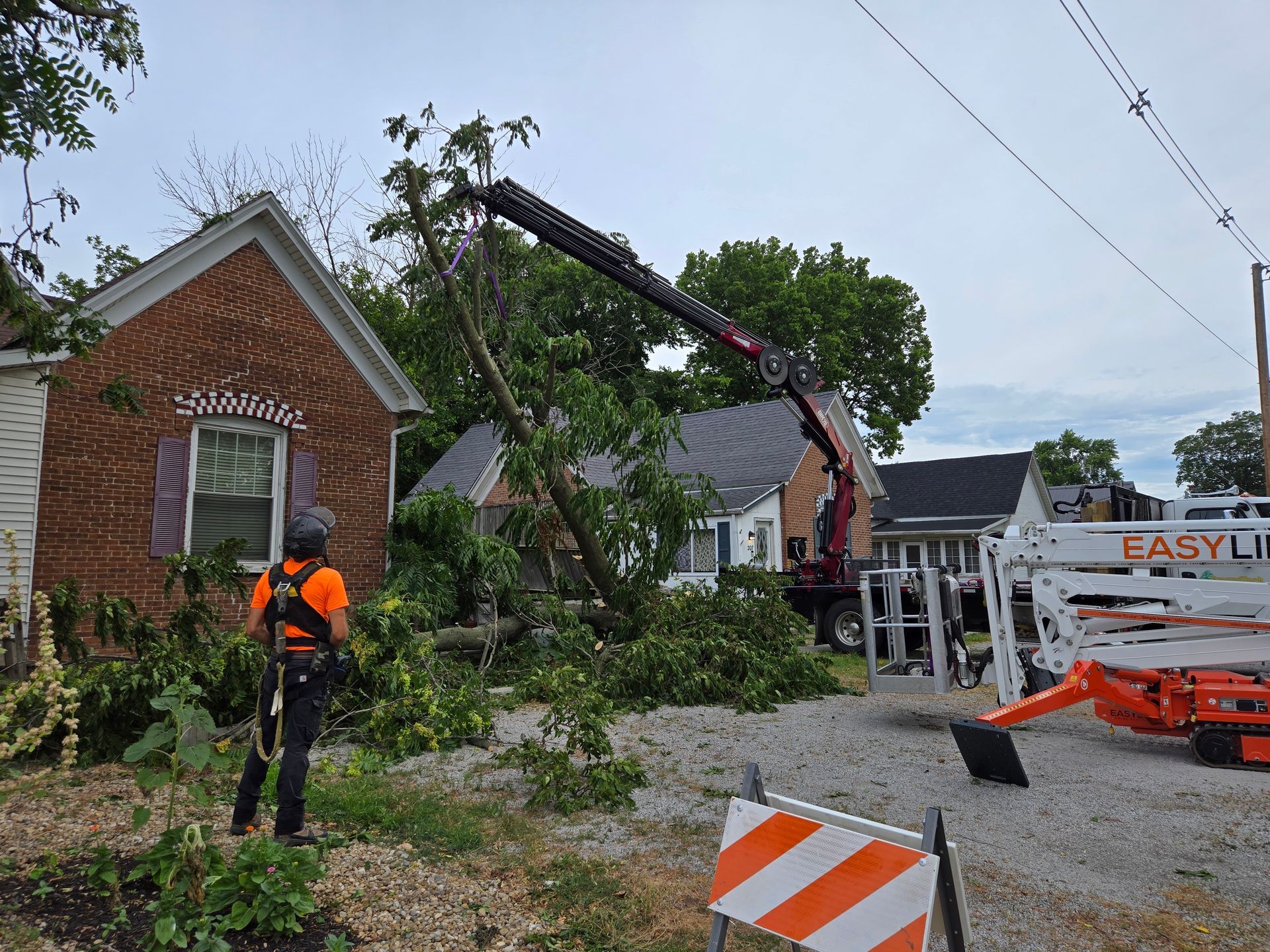 A crane is lifting a tree in front of a house.
