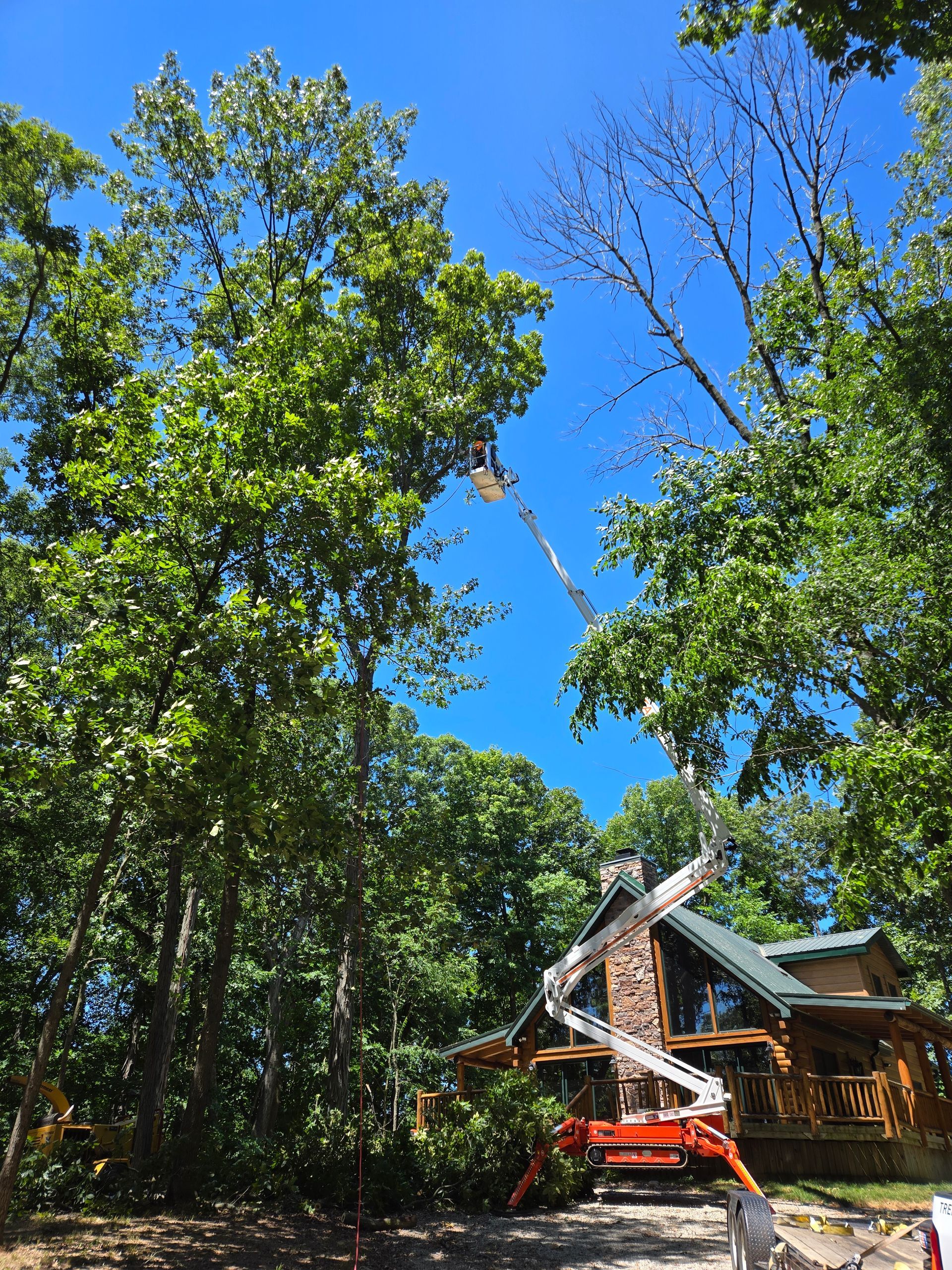 A man is cutting a tree with a crane in front of a house.