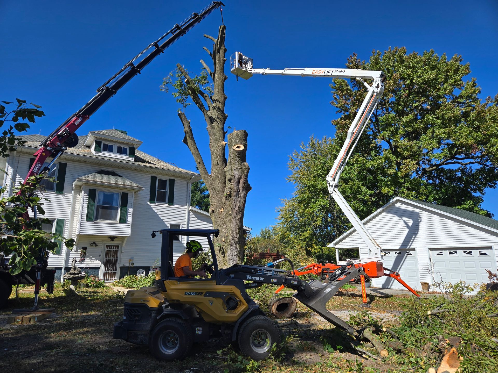 A man is cutting a tree with a crane in front of a house.