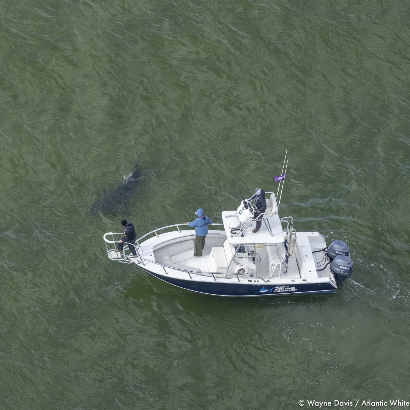 Boat with three people near a large, dark shape in the water.