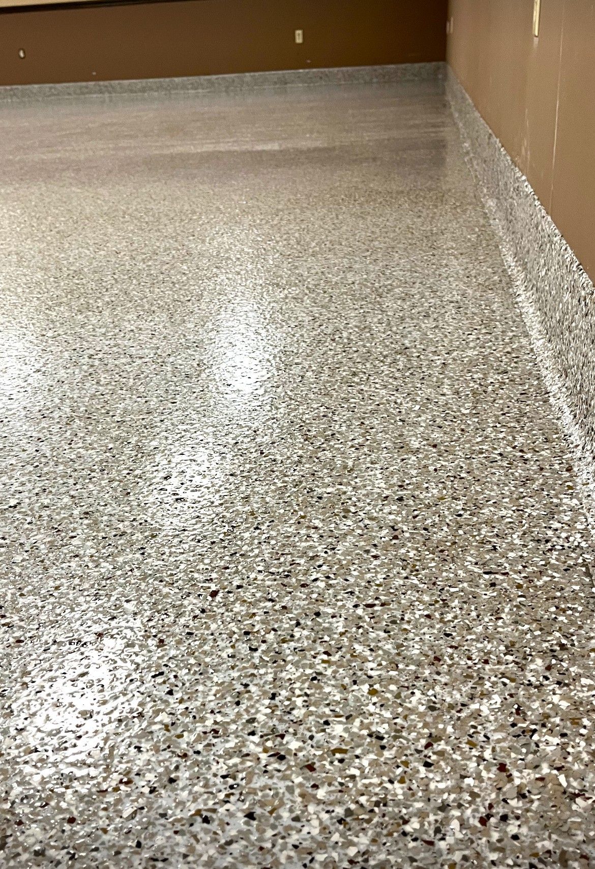 Speckled gray floor inside a cardboard-lined enclosure, with a bright reflection on the surface