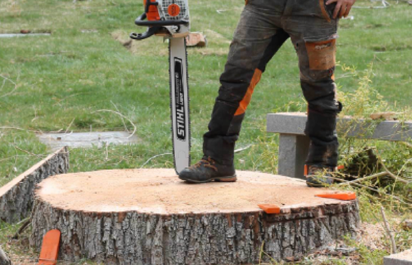 A man is cutting a tree stump with a chainsaw.