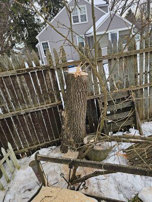 A tree stump is sitting in the snow next to a wooden fence.