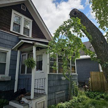 A tree has fallen on the side of a house.